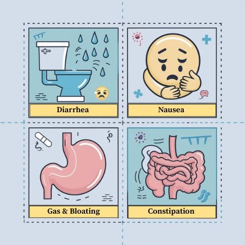 diet to restore gut health