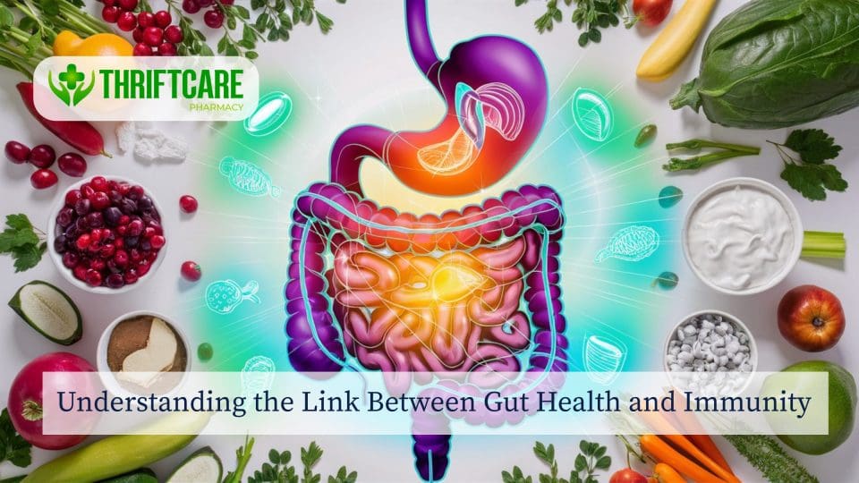 Understanding the Link Between Gut Health and Immunity  